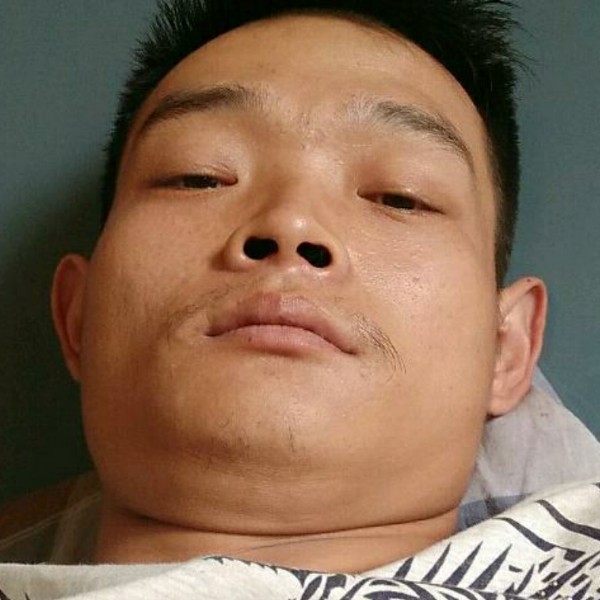 可靠向红玫瑰的照片