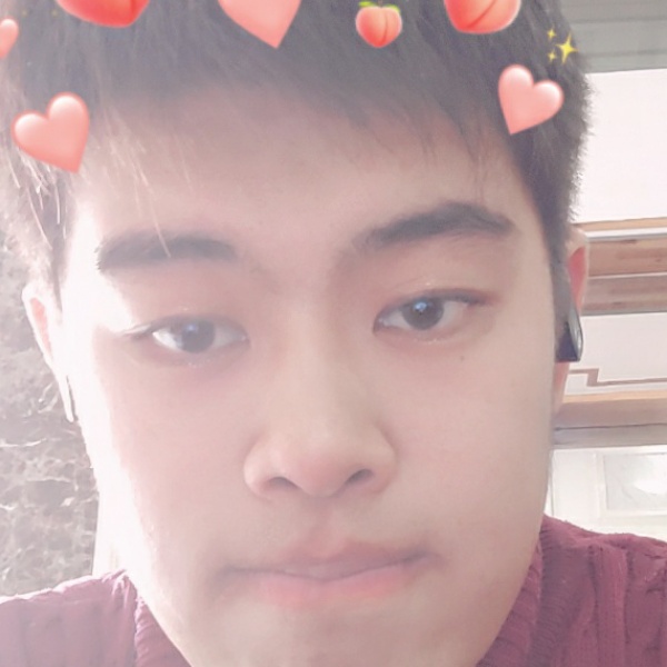 森林与飞的照片
