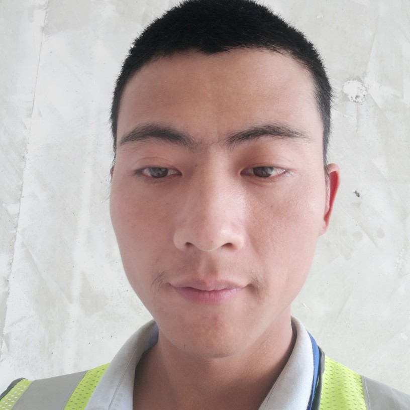 翅膀請英勇的照片