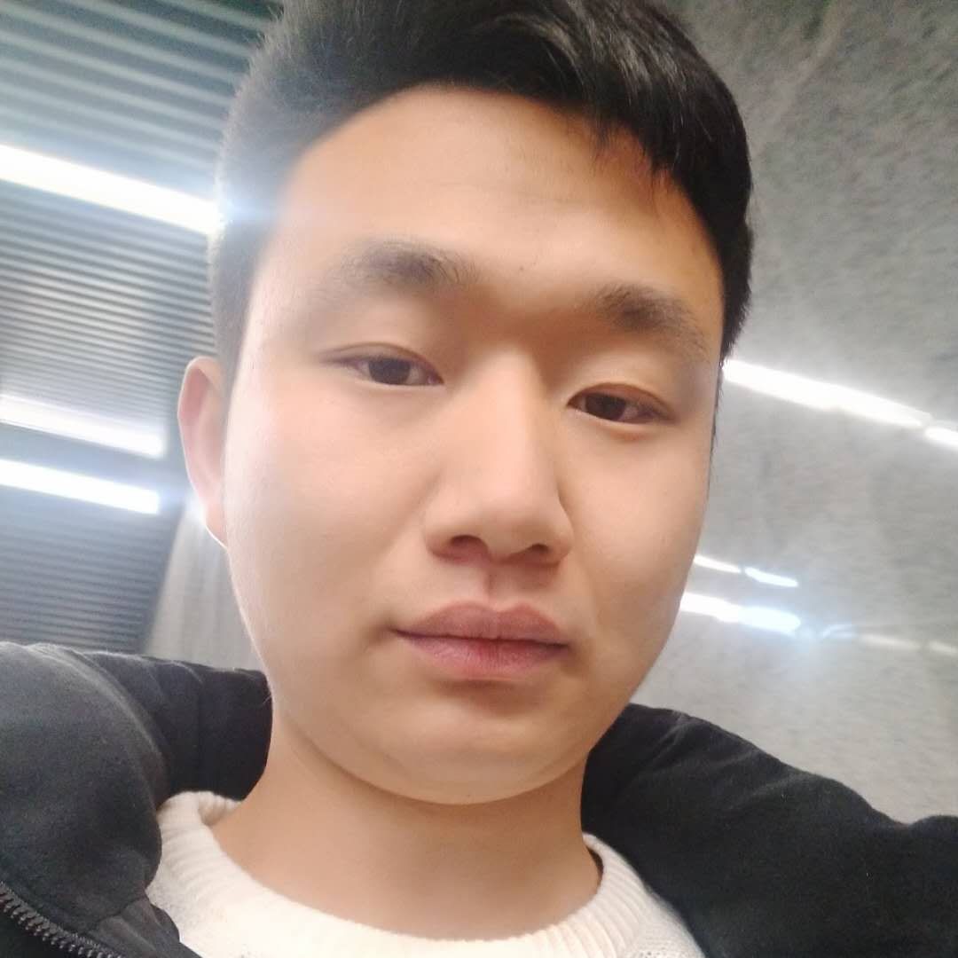 优美迎小懒虫的照片