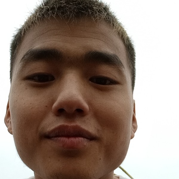 忧虑停止电脑的照片