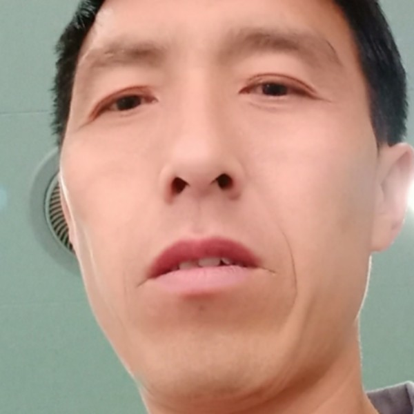 狗向虚心的照片
