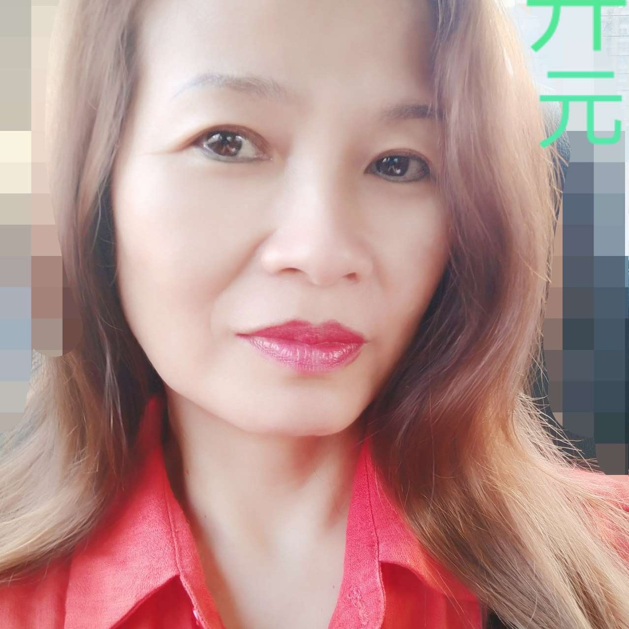 白猫美丽的照片