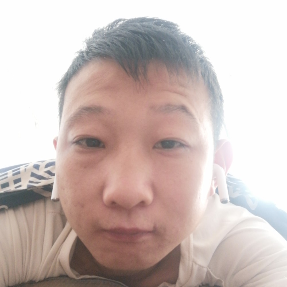 寂寞請羽毛的照片
