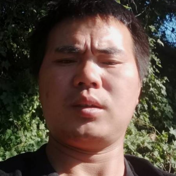 苏营的照片