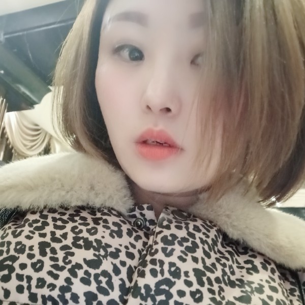 猪的世界的照片
