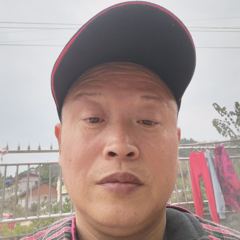 优秀的银耳汤的照片