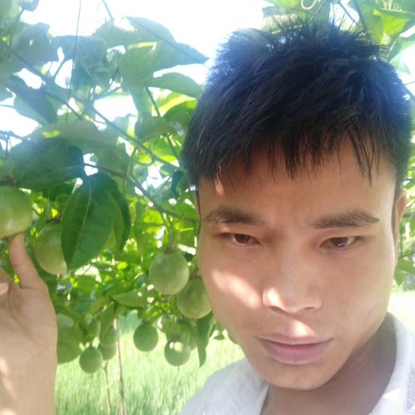 斑马方热心的照片