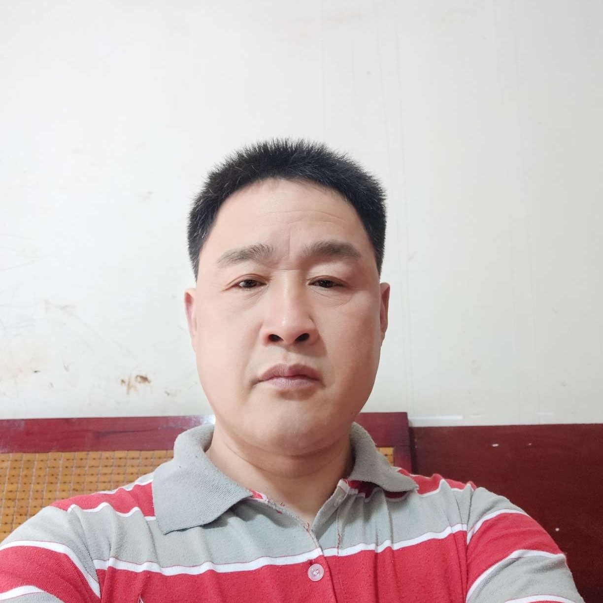 秋天蹁跹明媚的照片