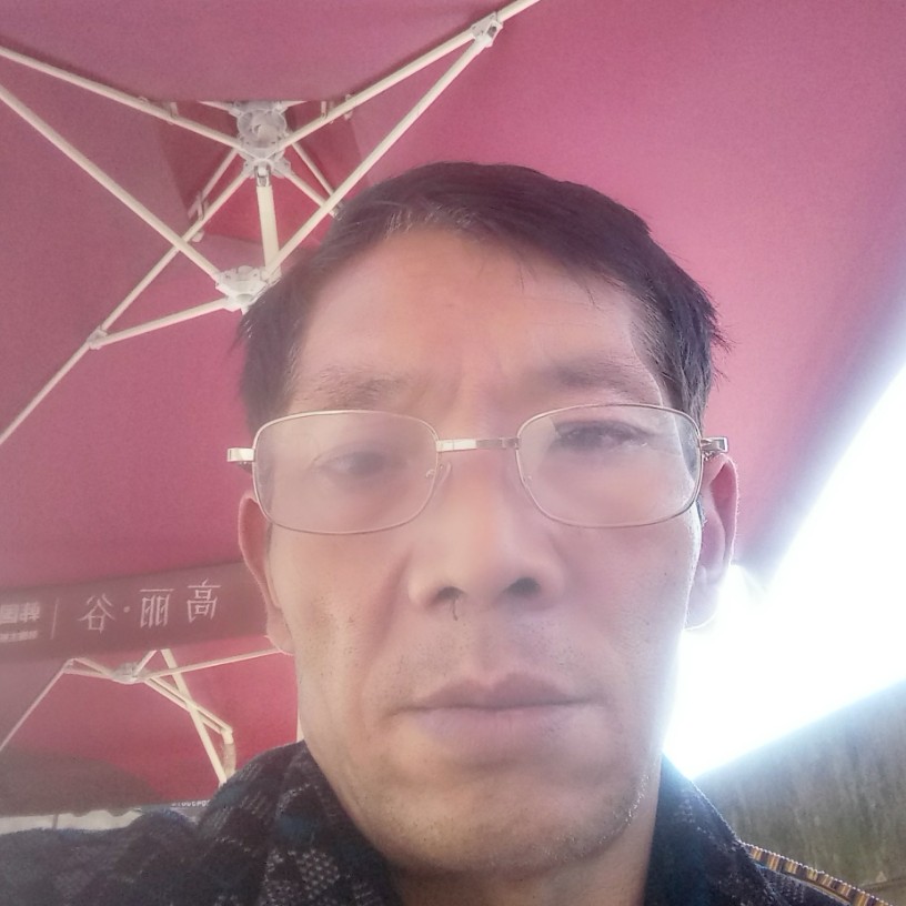 唯一的倾心小甜瓜的照片
