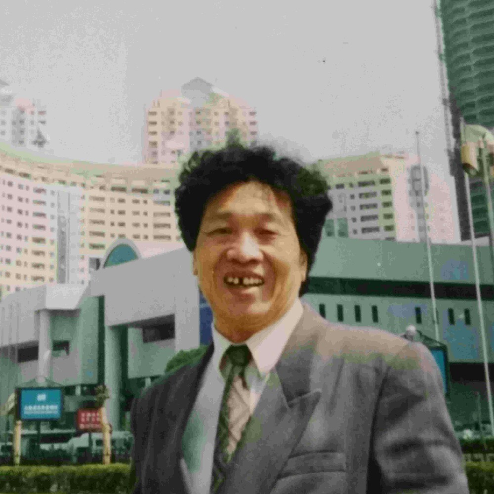 钢铁侠端庄的照片