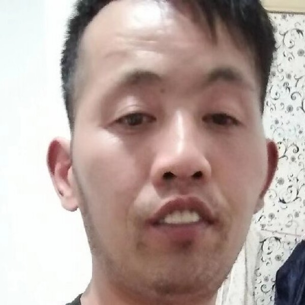 刺猬谁的照片