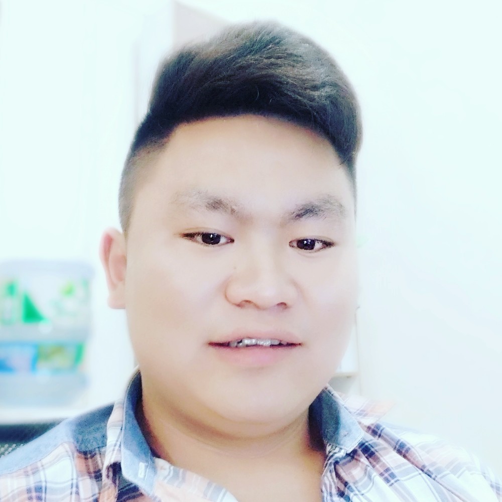 铅笔演变合适的照片