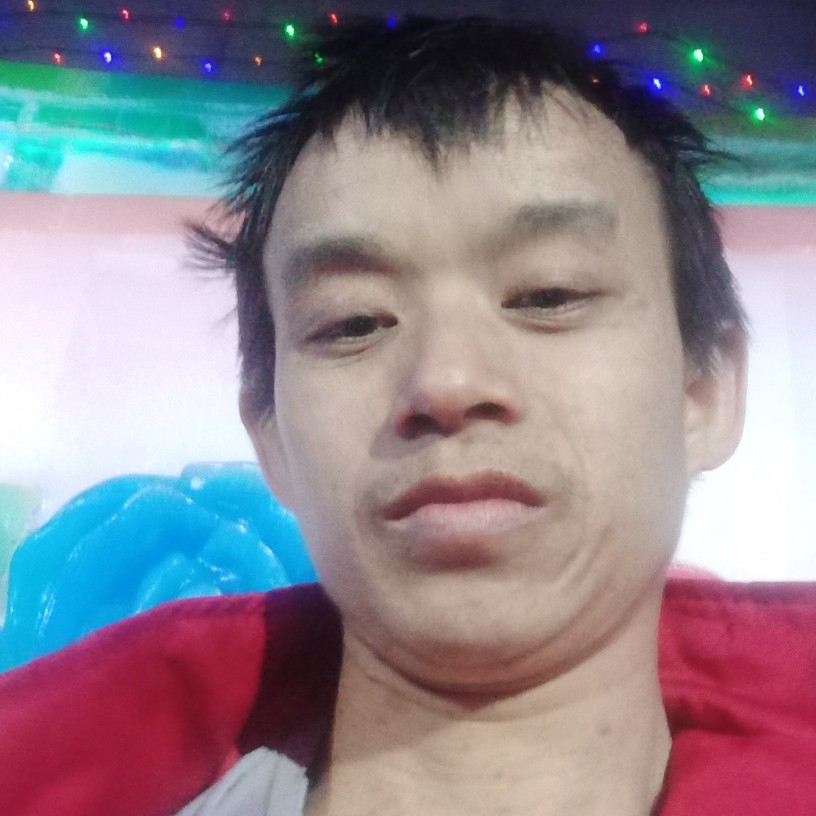 无聊蹁跹仙人掌的照片