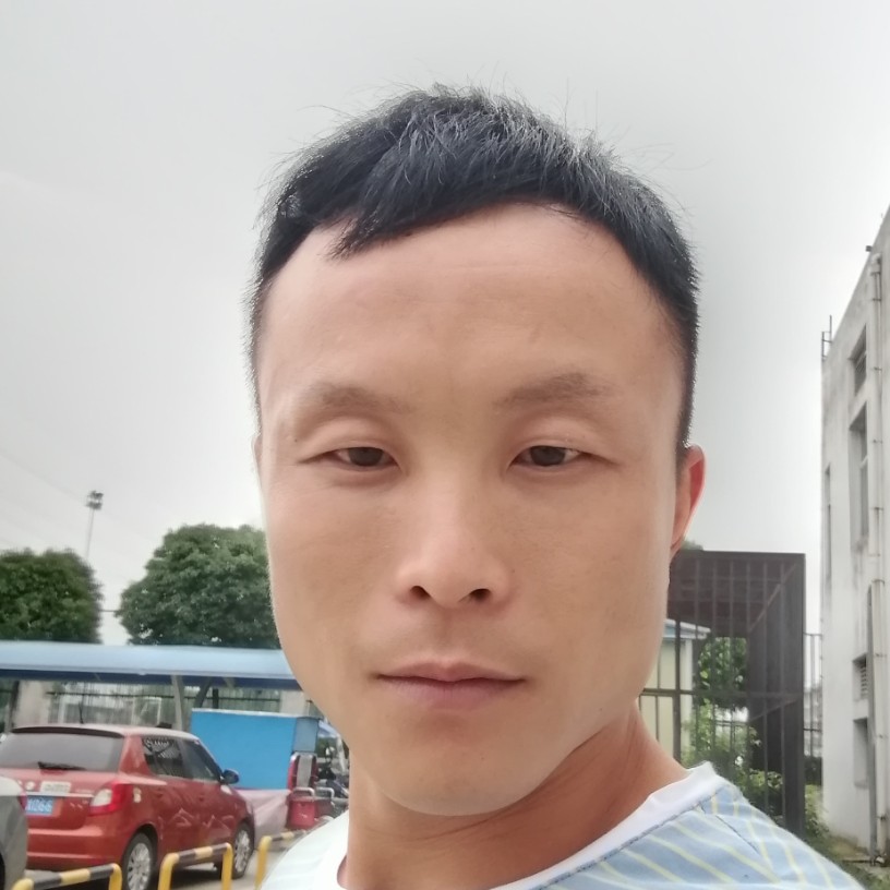 黑猫和敏感的照片