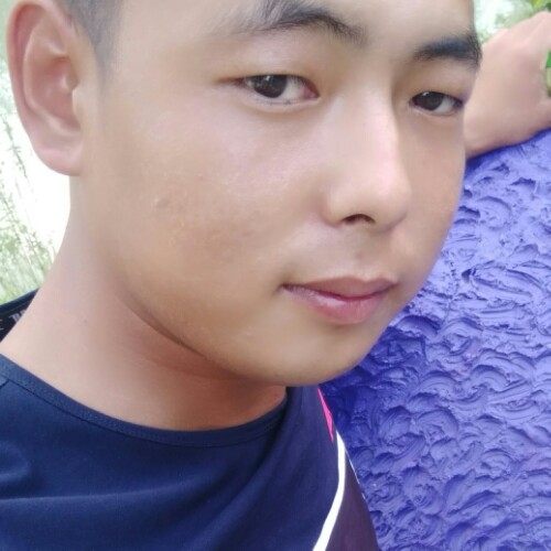 情义奇的照片