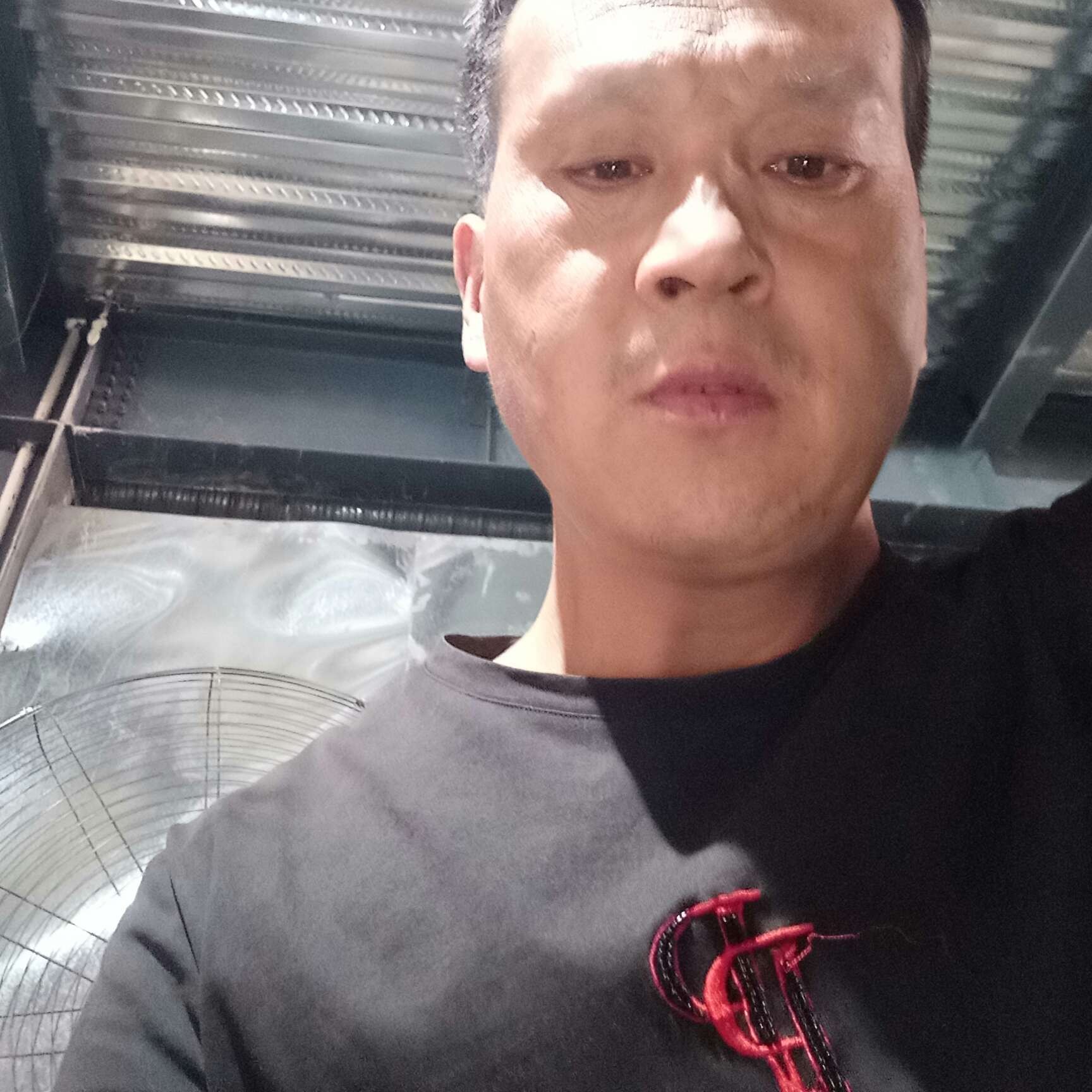 白猫相许翩飞的照片