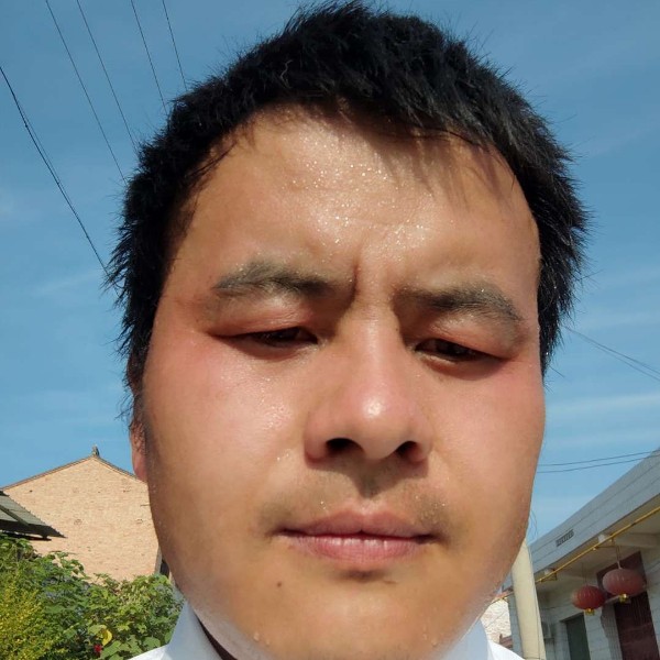 稳定压倒一切的照片
