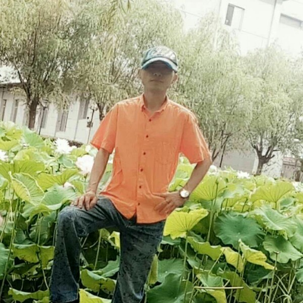 我在寻找一个你的照片