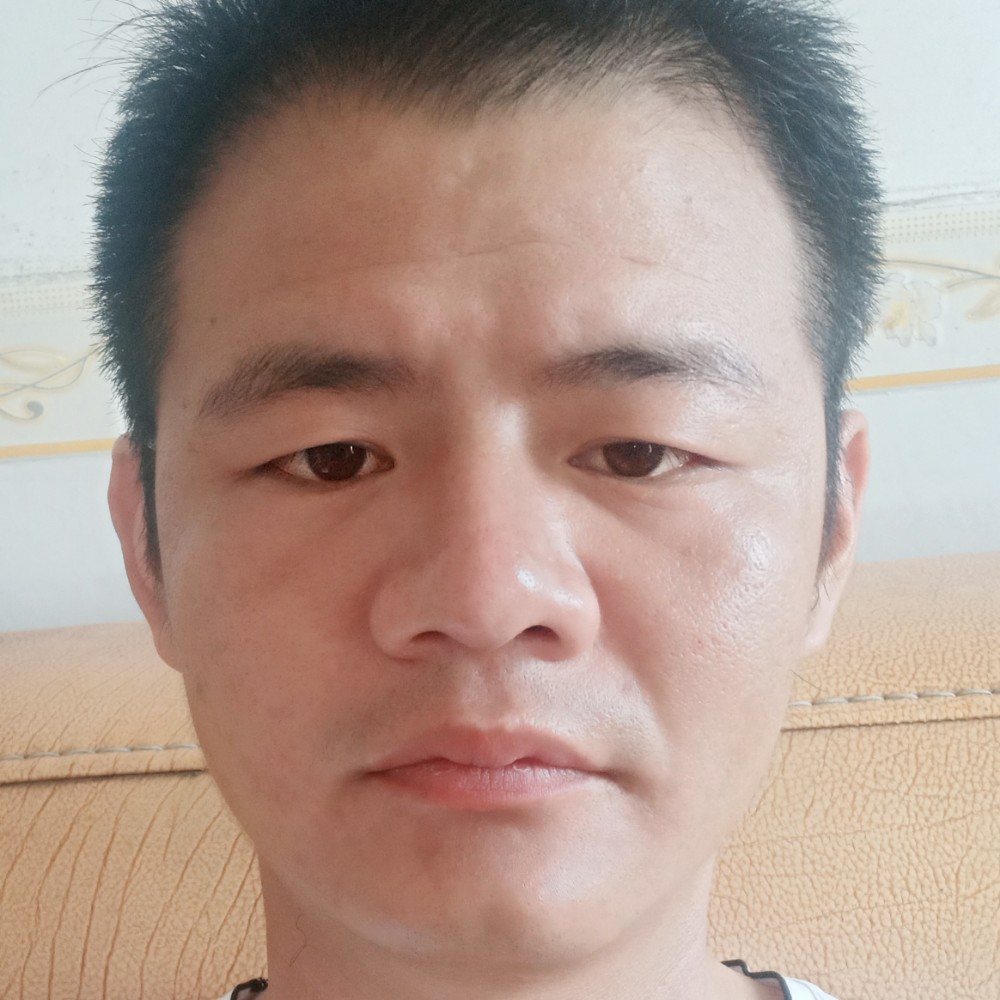 敏感有小熊猫的照片