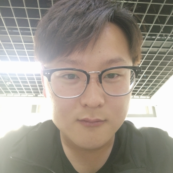 洋葱飘逸的照片