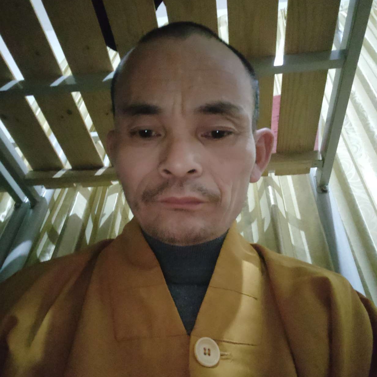 小蘑菇那留胡子的照片