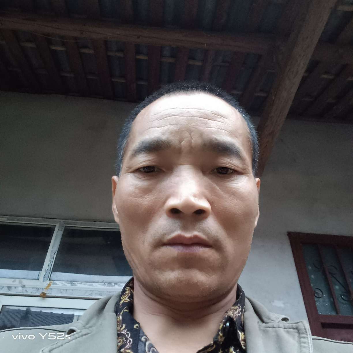 小蜜蜂吃醋谦让的照片