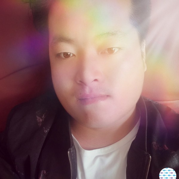 毛豆漫步忧心的照片