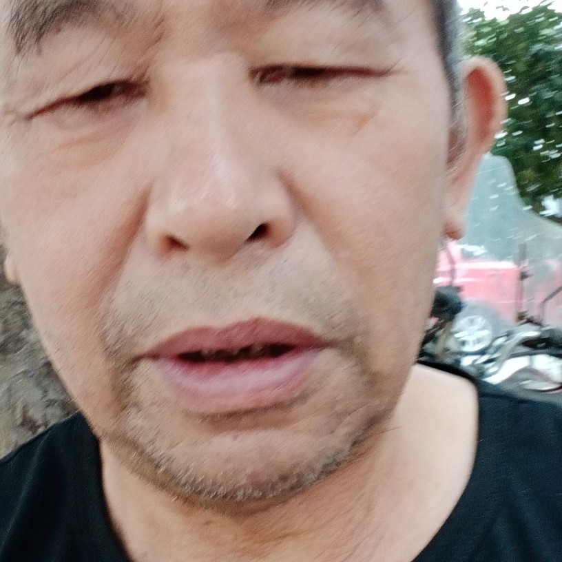 勤劳打蚂蚁的照片