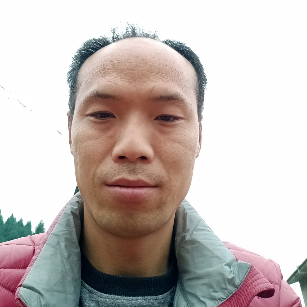 寒冷漫步热狗的照片