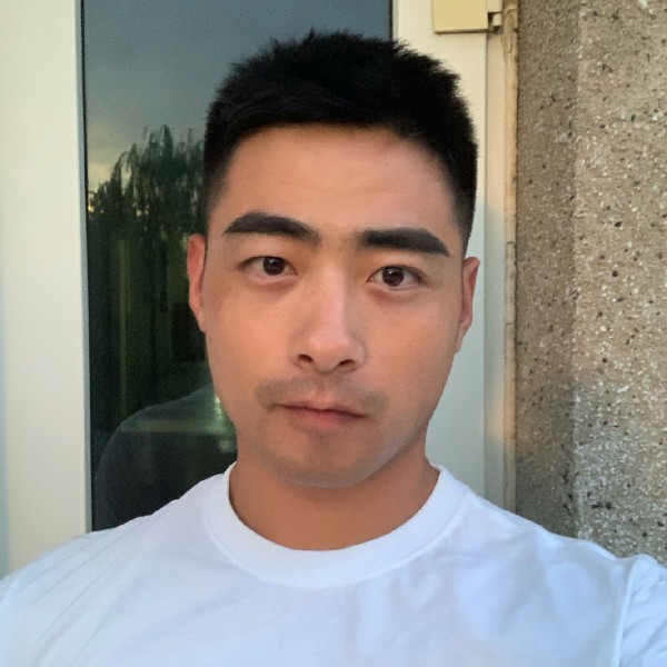 一颗孤独的树的照片