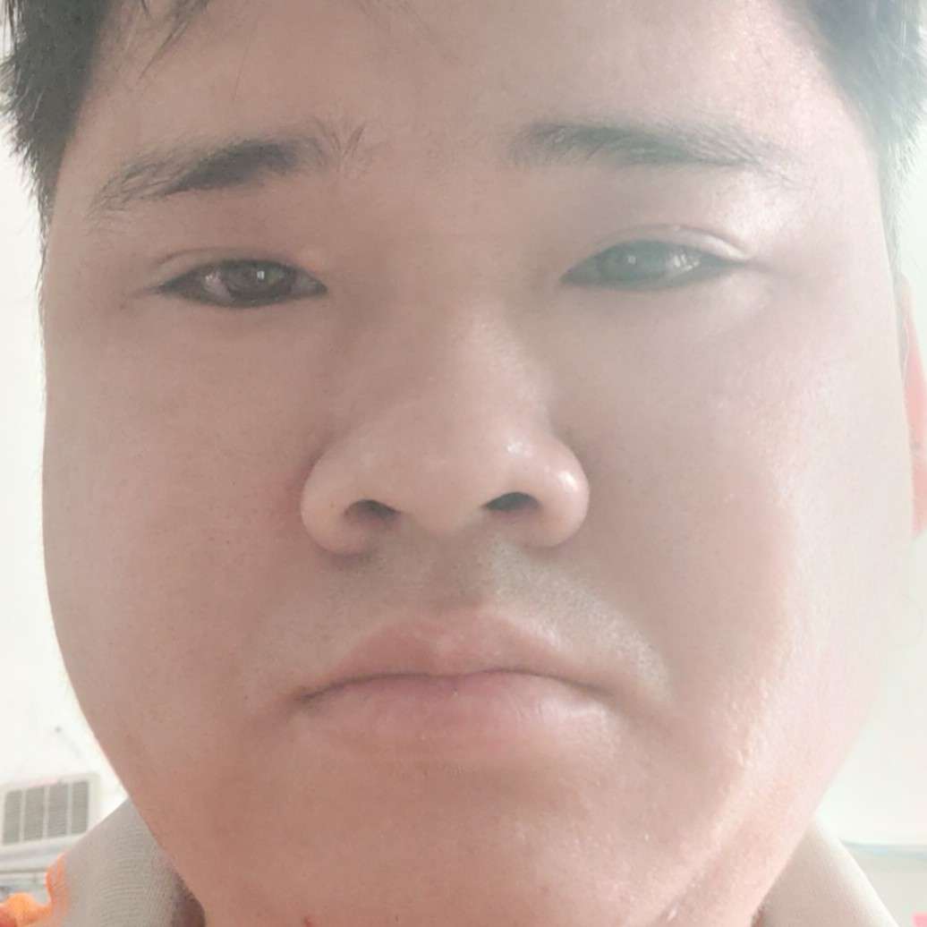 乌龟酷炫的照片