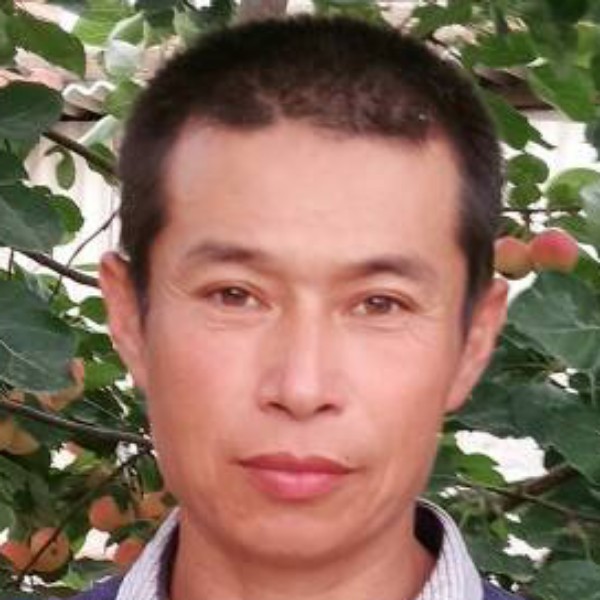 内向相许小土豆的照片