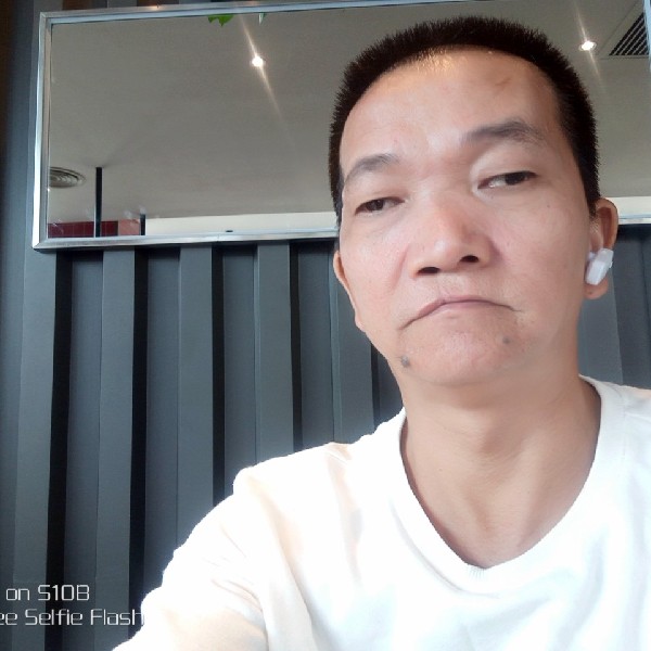 感动的森槿的照片