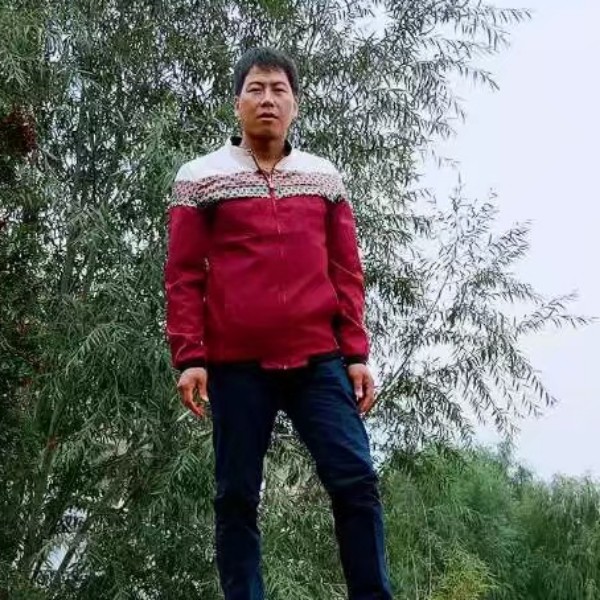温柔爱恋大船的照片