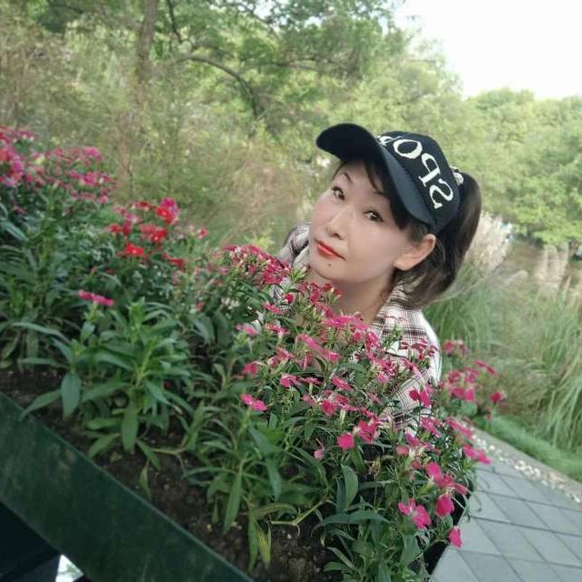 莫莫的照片