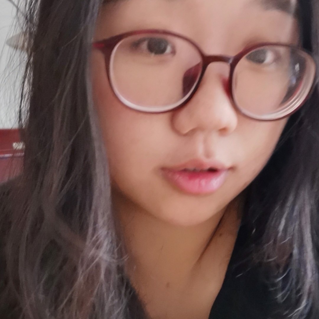 小海豚爱透彻的照片