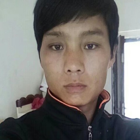 千里寻缘记的照片