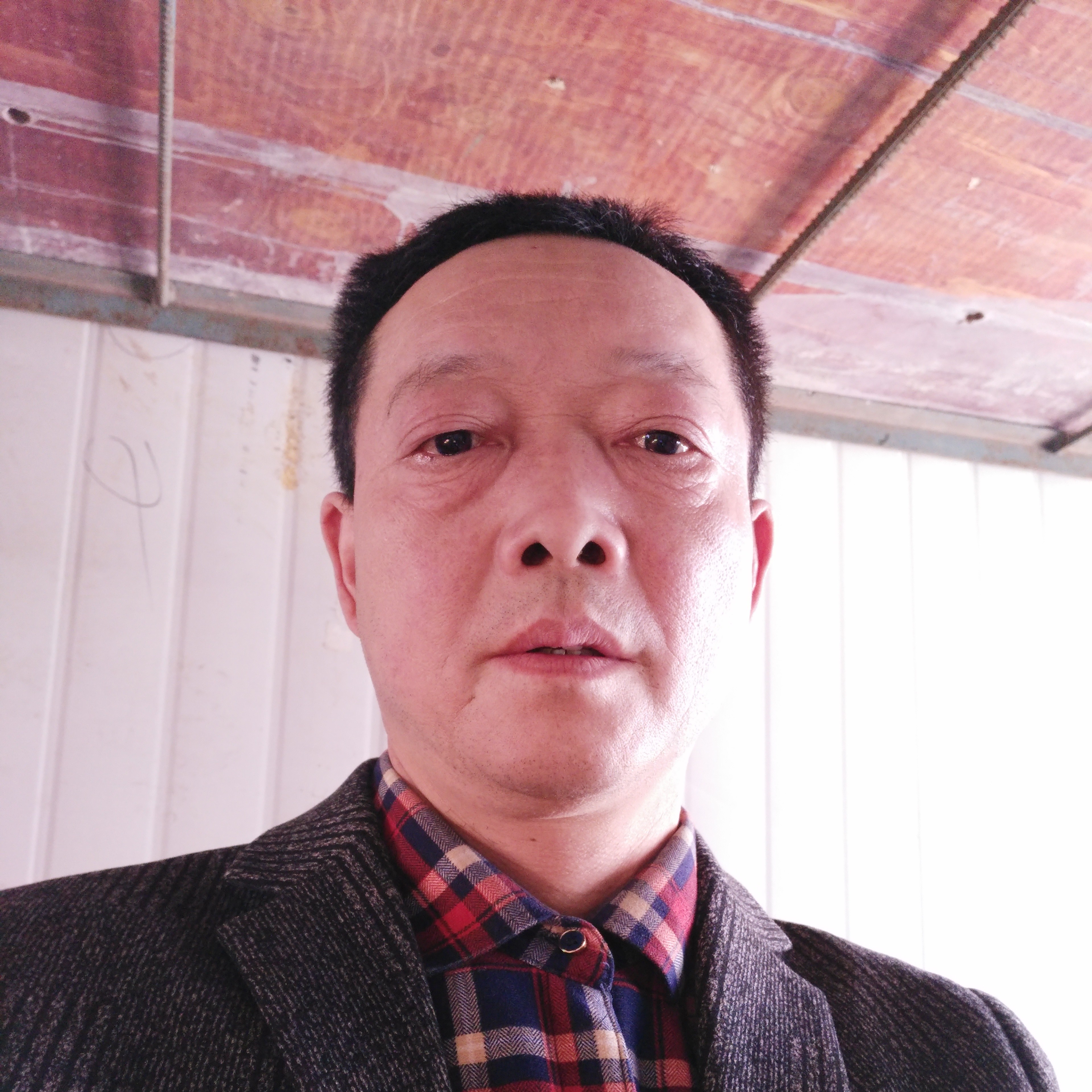 花瓣苦恋闪闪的照片