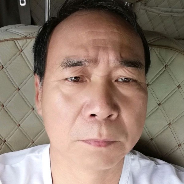 黄蜂内向的照片