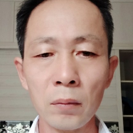 小懒猪苦恋落寞的照片