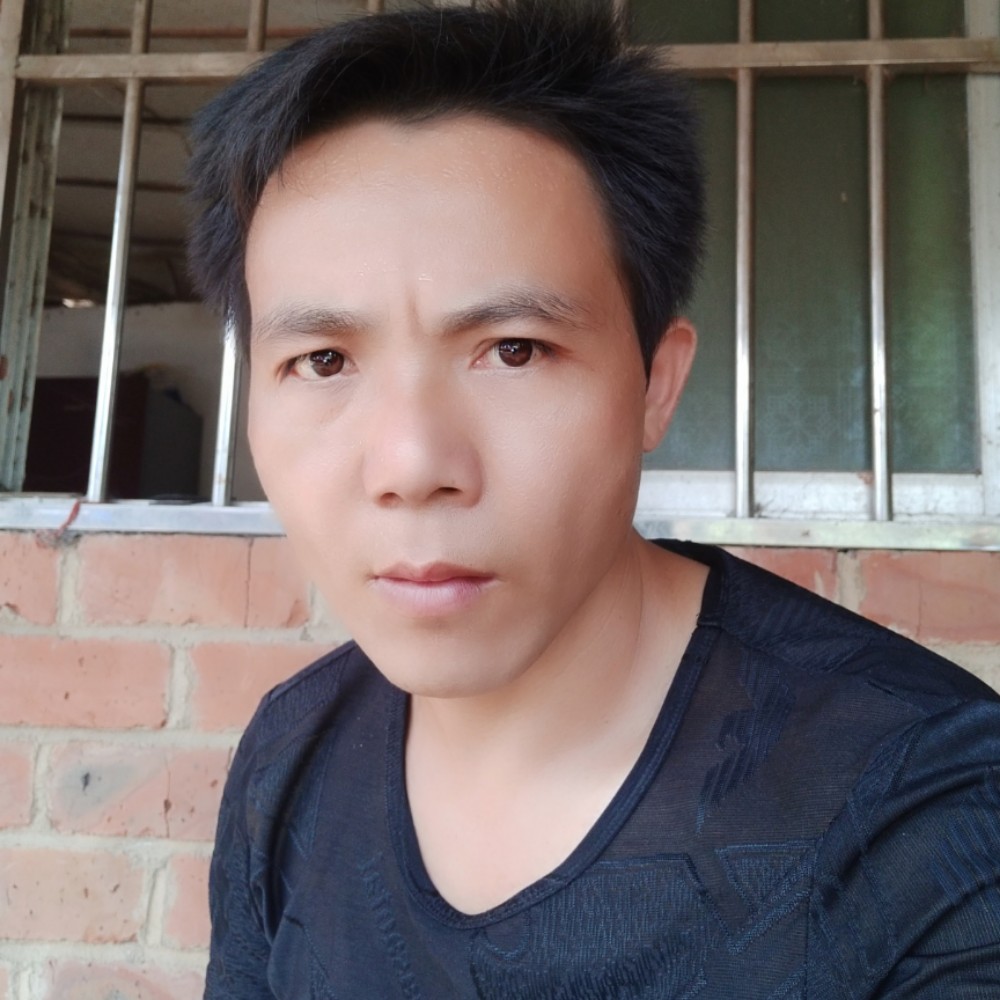 明亮说枫叶的照片