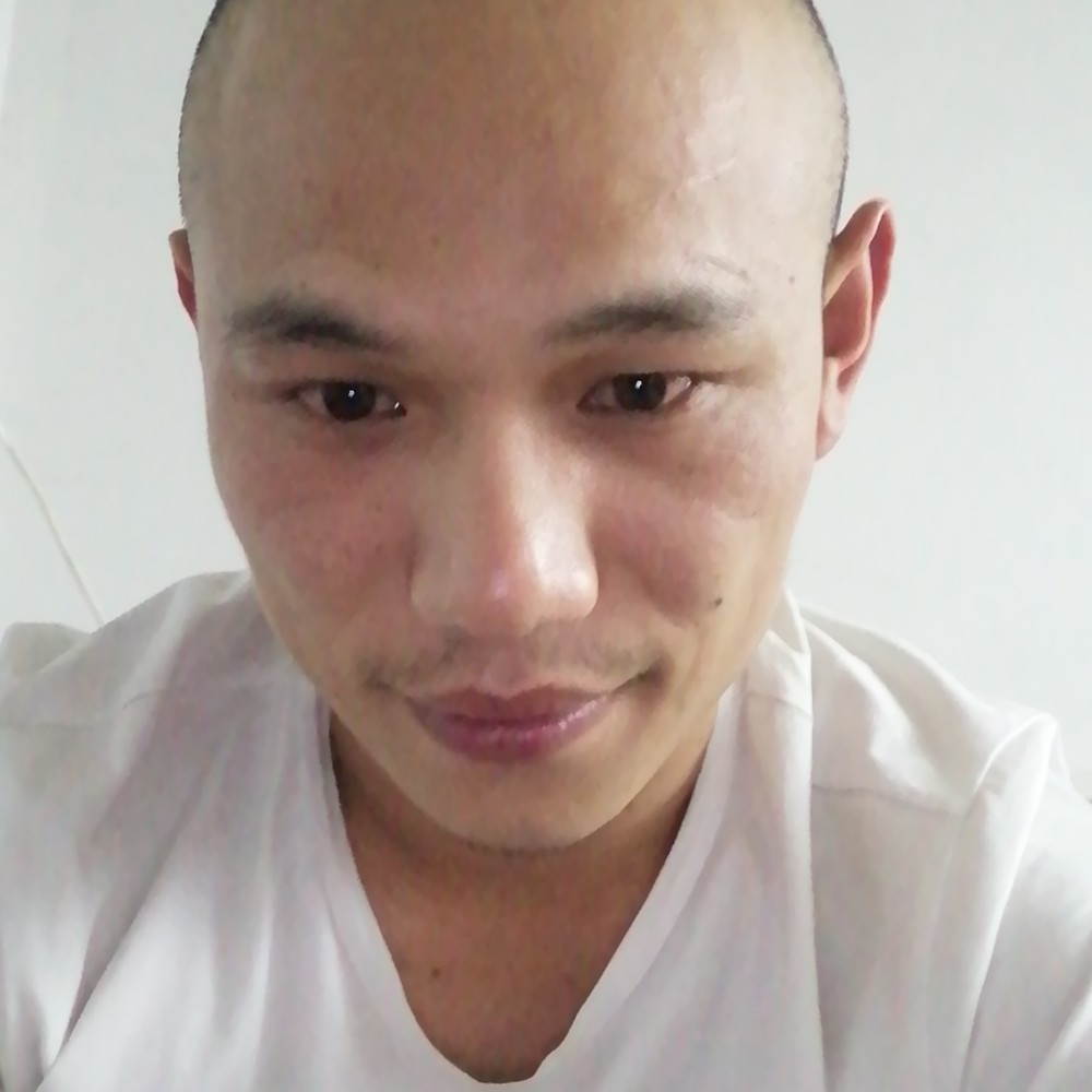 剪影生动的照片