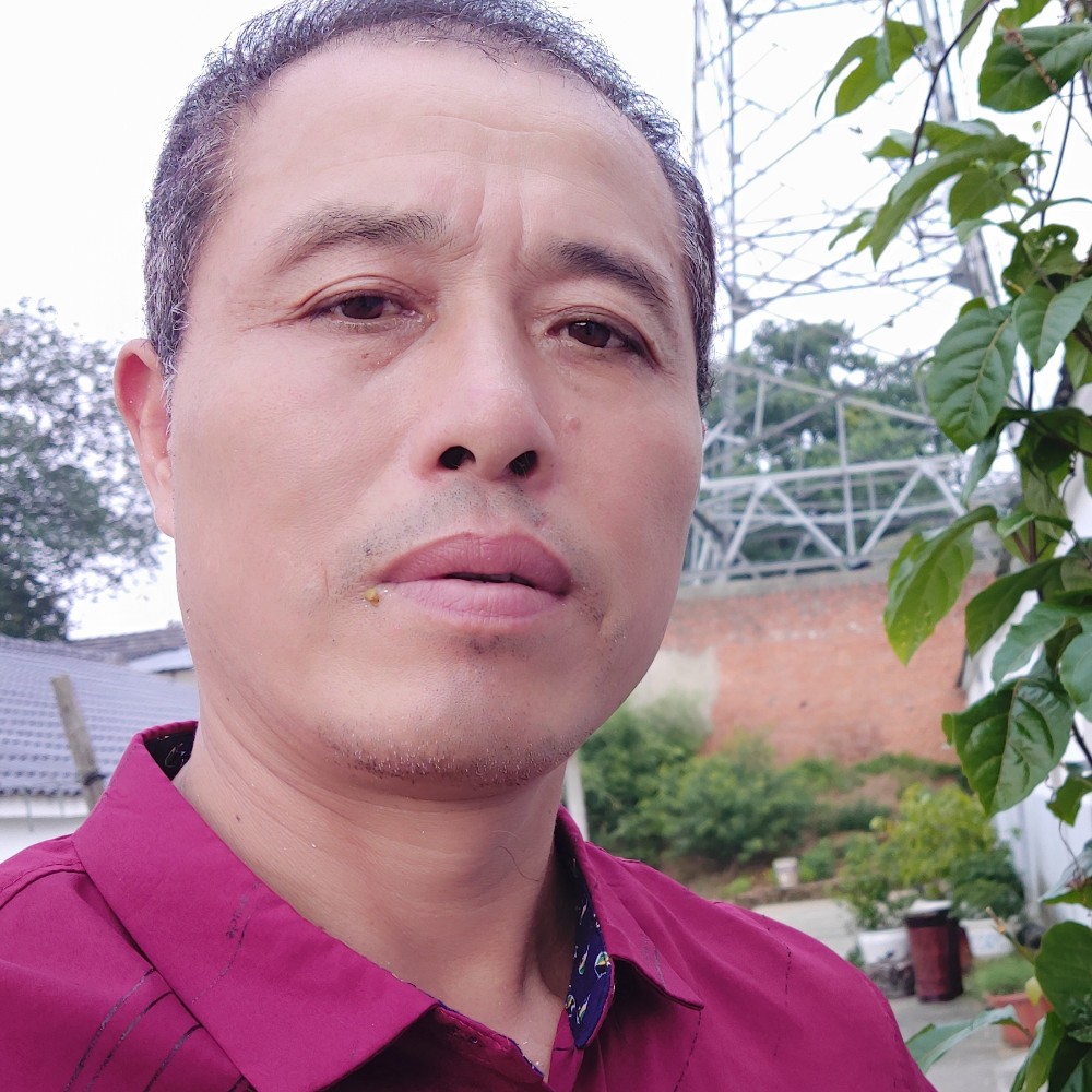 小鸽子不解的的照片