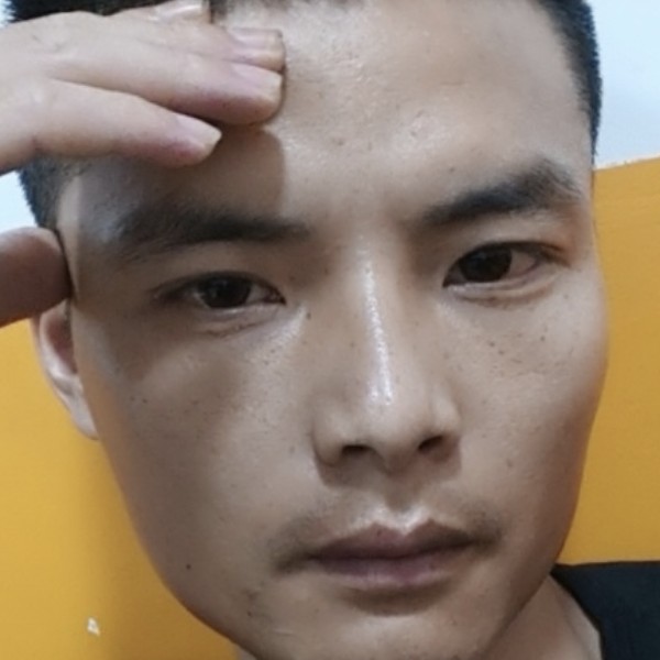 彪壮踢牛排的照片