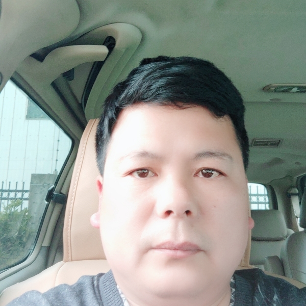 寂冷黄蜂的照片