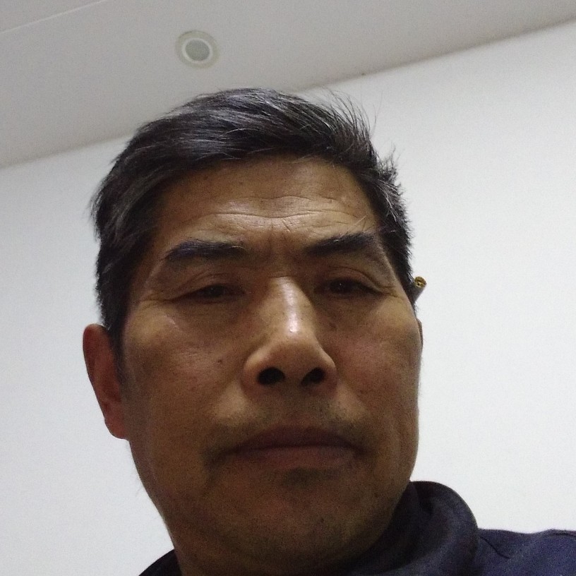 蜜蜂恬静的照片