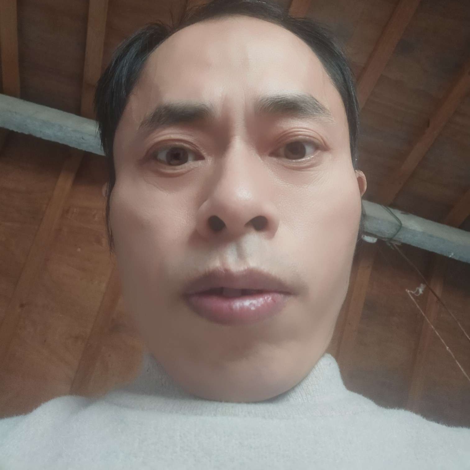 树叶好吧的照片