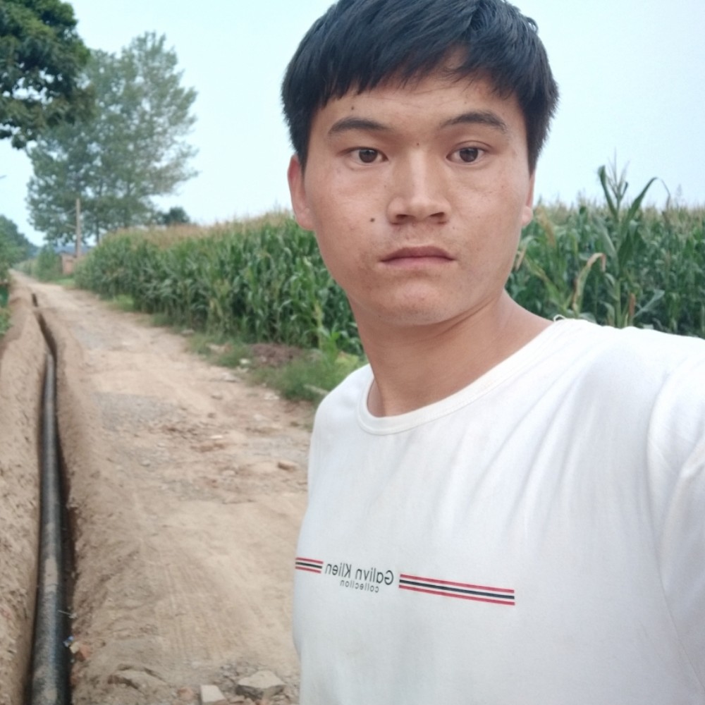 失眠向樱桃的照片