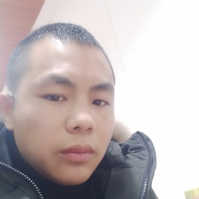 蚂蚁挑大梁的照片